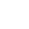 s1