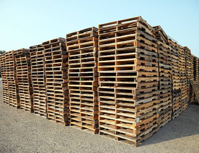 cung cấp pallet Vũng Tàu 