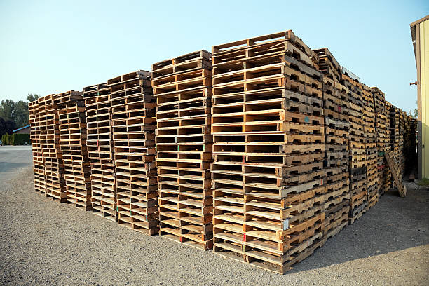 cung cấp pallet Vũng Tàu 